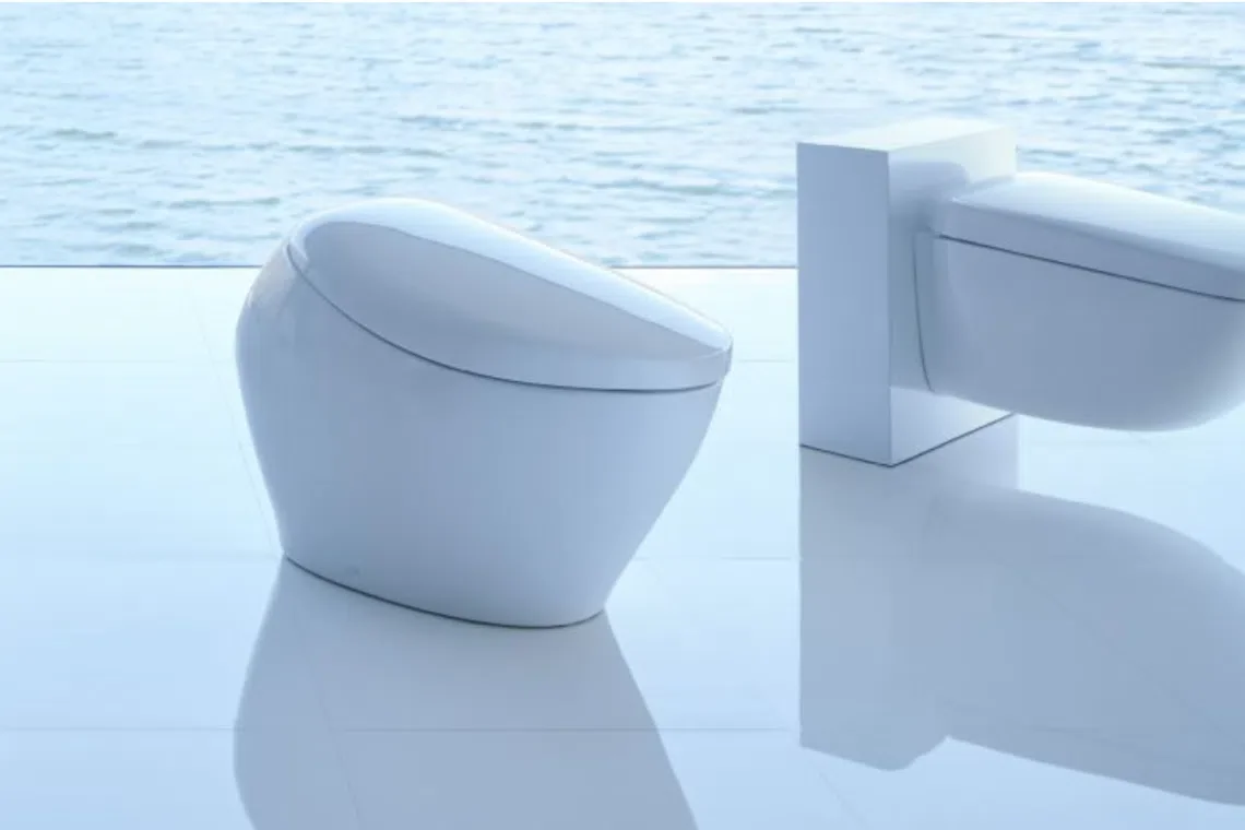 Latest high-tech Japanese toilets can check health via stool analysis | The Straits Times