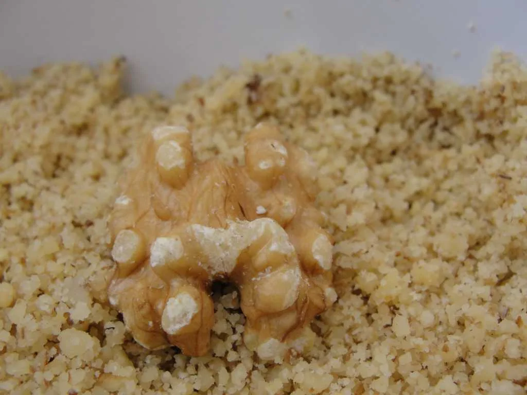 11-walnuts-ground