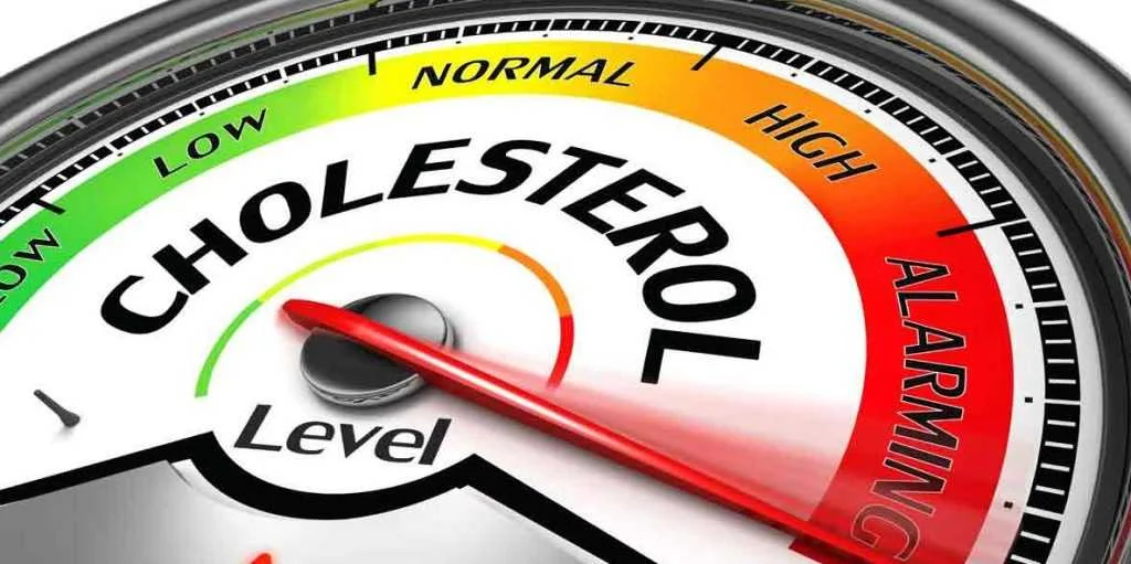infosite-cholesterol-fb